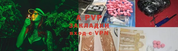 PSILOCYBIN Киренск