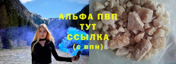 PSILOCYBIN Киренск