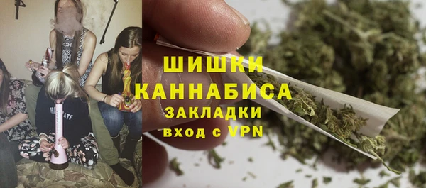PSILOCYBIN Киренск