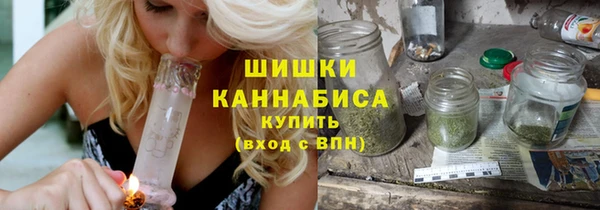 PSILOCYBIN Киренск